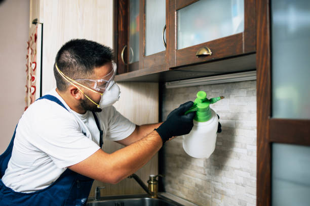 Best Emergency Pest Control  in Jefferson City, TN