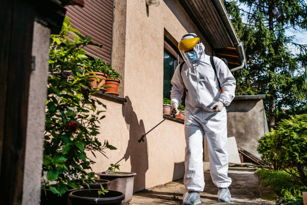 Best Emergency Pest Control  in Jefferson City, TN