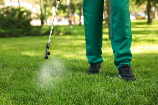 Best Commercial Pest Control Services  in Jefferson City, TN