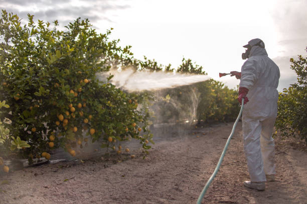 Best Bed Bug Extermination  in Jefferson City, TN