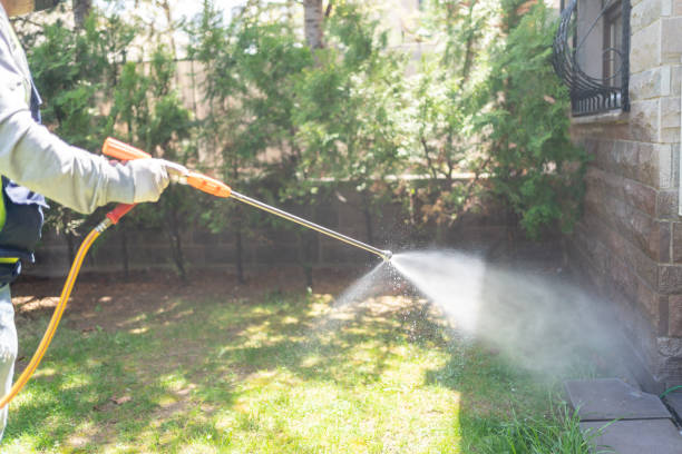 Best Best Pest Control Companies  in Jefferson City, TN