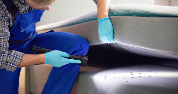 Best Rat Extermination Near Me  in Jefferson City, TN