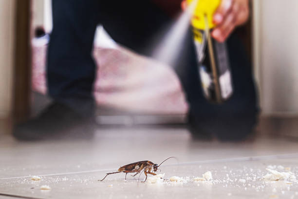 Pest Prevention Services in Jefferson City, TN