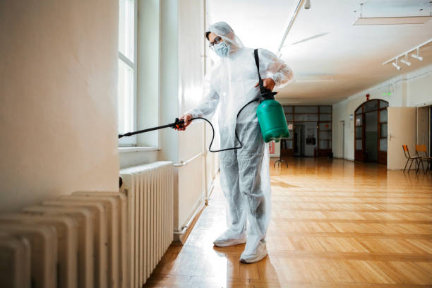 Best Pest Control Treatment  in Jefferson City, TN