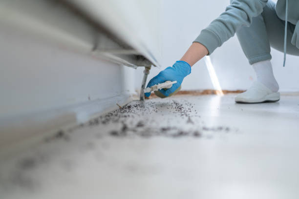 Best Best Pest Control Companies  in Jefferson City, TN